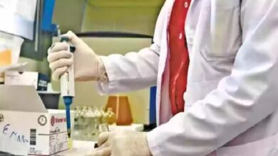 En lo que va del año se registraron 398 casos de salmonelosis en Salta