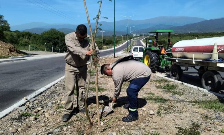 La Municipalidad realizó la plantación de 100 árboles nativos sobre Av. Libertador