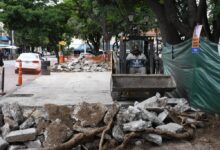 Comenzaron las obras de mantenimiento en la plaza Alvarado