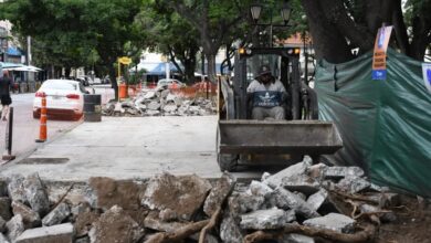 Comenzaron las obras de mantenimiento en la plaza Alvarado