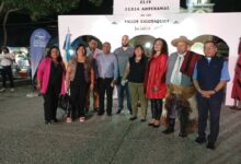 San Carlos inauguró su tradicional "Feria Artesanal de los Valles Calchaquíes"