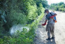 Oran: Intensifican monitoreos para controlar el Dengue. Foto: Municipalidad de Oran