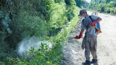 Oran: Intensifican monitoreos para controlar el Dengue. Foto: Municipalidad de Oran
