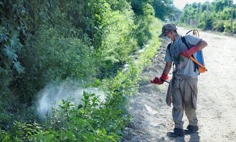 Oran: Intensifican monitoreos para controlar el Dengue. Foto: Municipalidad de Oran