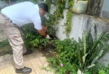 La Municipalidad puso en marcha un operativo de control focal intensivo y descacharrado selectivo en la zona 3. Foto: Municipalidad de Oran