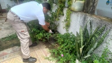 La Municipalidad puso en marcha un operativo de control focal intensivo y descacharrado selectivo en la zona 3. Foto: Municipalidad de Oran