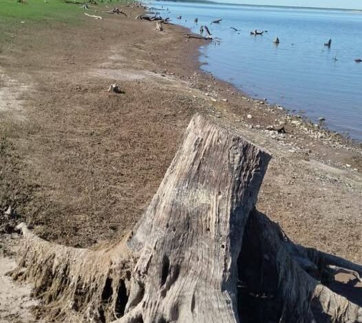 Preocupación local por el nivel del agua y la muerte de peces en el dique El Tunal