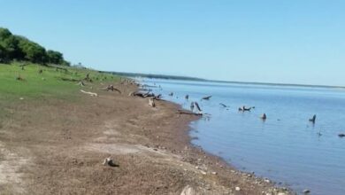 Preocupación local por el nivel del agua y la muerte de peces en el dique El Tunal