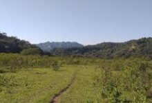 Metán prohíbe actividades en los cerros tras la muerte de un hombre por el temporal