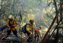 El incesante trabajo de las brigadas que combaten el fuego en el Parque Nacional Nahuel Huapi