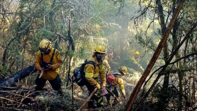 El incesante trabajo de las brigadas que combaten el fuego en el Parque Nacional Nahuel Huapi