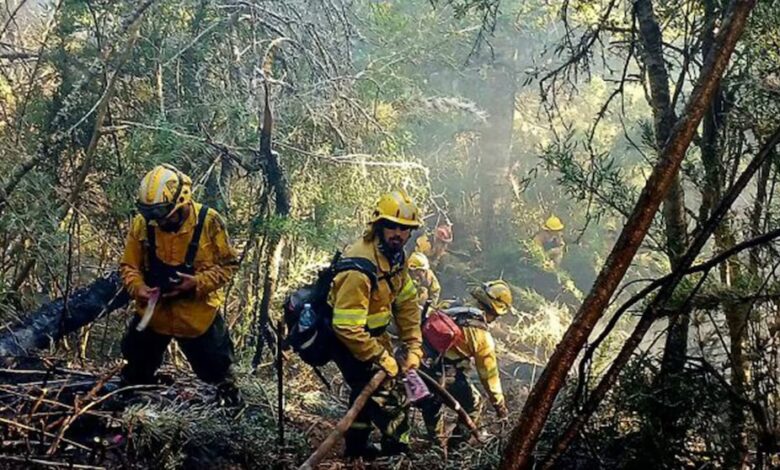 El incesante trabajo de las brigadas que combaten el fuego en el Parque Nacional Nahuel Huapi