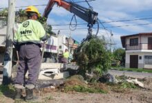 Durante el 2024, la Municipalidad de Salta retiró más de 44 mil microbasurales