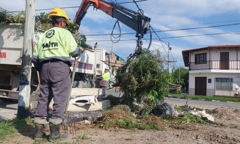 Durante el 2024, la Municipalidad de Salta retiró más de 44 mil microbasurales