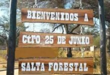 Salta Forestal trabaja en un plan integral para regularizar sus tierras