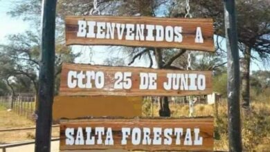 Salta Forestal trabaja en un plan integral para regularizar sus tierras