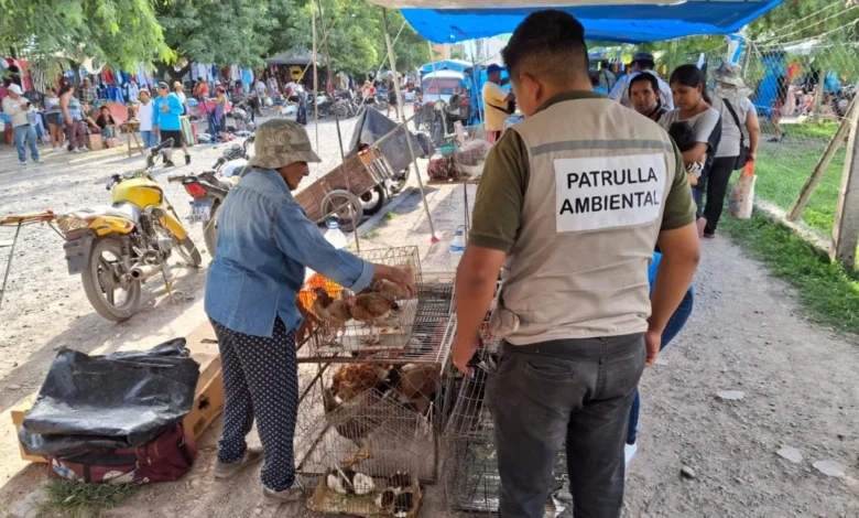 Multaron a feriante por tener 50 animales vivos de distintas especies para su comercialización