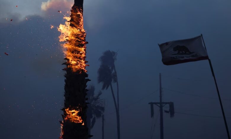 Bomberos luchan contra las llamas en las colinas de Pacific Palisades.