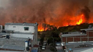 Chile combate incendios forestales con toque de queda y detenciones