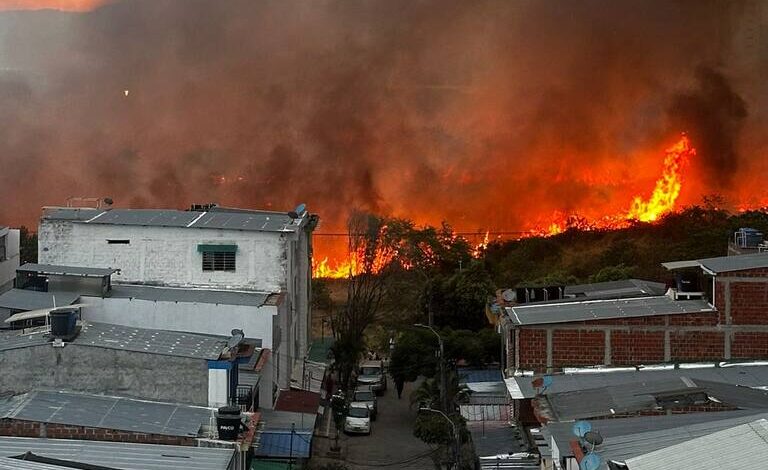 Chile combate incendios forestales con toque de queda y detenciones