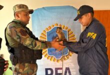En un operativo realizado, la Policía Rural rescató un puma y un mono que se encontraban en cautiverio. Foto: Policía de Salta