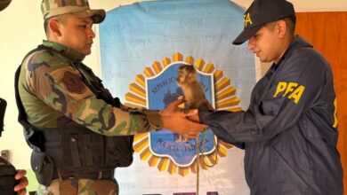 En un operativo realizado, la Policía Rural rescató un puma y un mono que se encontraban en cautiverio. Foto: Policía de Salta
