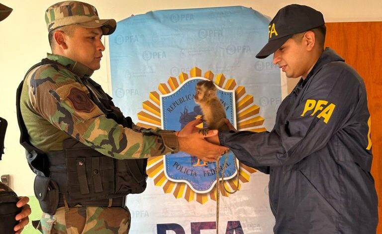 En un operativo realizado, la Policía Rural rescató un puma y un mono que se encontraban en cautiverio. Foto: Policía de Salta