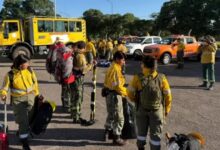 Salta envió brigadistas para apoyar la lucha contra los incendios en Río Negro