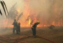 El incendio avanza en el Parque Nahuel Huapi, afectando sectores de difícil acceso y complicando la tarea de los brigadistas Foto: Infobae