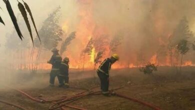 Bomberos voluntarios de El Bolsón alertaron que el perímetro del fuego "aumenta cada día" y que hay escasez de agua
