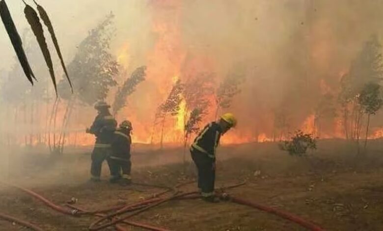 El incendio avanza en el Parque Nahuel Huapi, afectando sectores de difícil acceso y complicando la tarea de los brigadistas Foto: Infobae