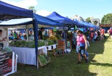 Mercado en Tu Barrio en la zona norte