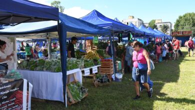 Mercado en Tu Barrio en la zona norte