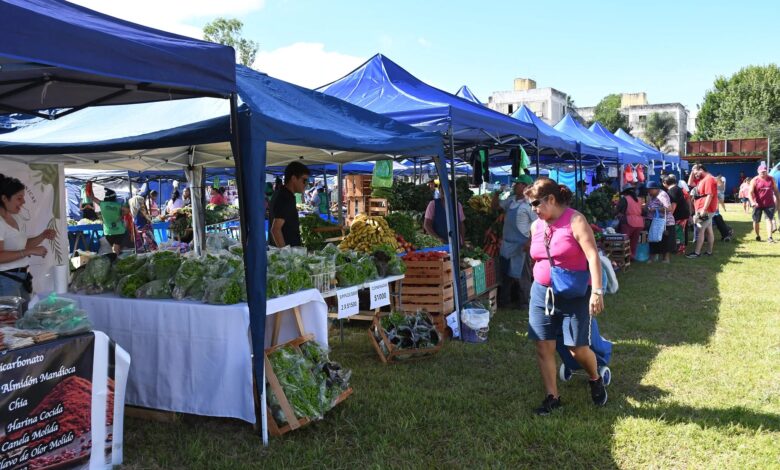 Mercado en Tu Barrio en la zona norte