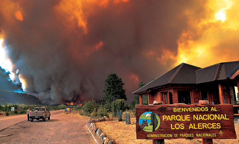 Parques Nacionales vincula incendios en Patagonia a desalojos de falsas organizaciones