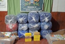 Gendarmería incautó 16 kilos de cocaína y 264 kilos de hojas de coca