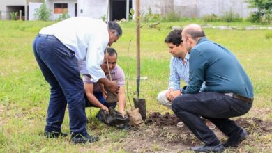 Orán, Capital y Cerrillos avanzan hacia la restauración y conservación de los espacios verdes, implementando proyectos de forestación