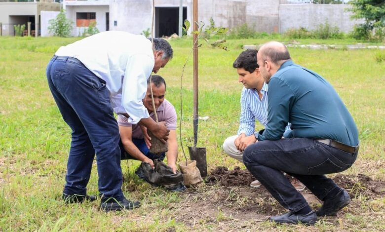 Orán, Capital y Cerrillos avanzan hacia la restauración y conservación de los espacios verdes, implementando proyectos de forestación