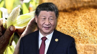 China intensifica la guerra comercial con nuevos aranceles a productos agrícolas de EE.UU.