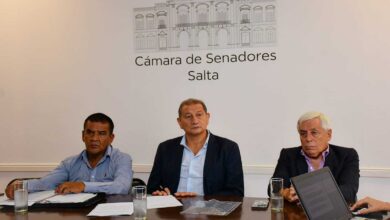 Encuentro entre el Senado y el CES.