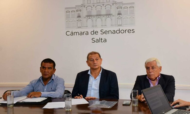 Encuentro entre el Senado y el CES.