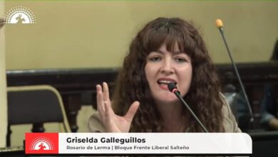 Durante la sesión de la Cámara de Diputados de ayer, la diputada por el Frente Liberal Salteño Griselda Gallegillos anunció su candidatura a senadora y lanzó fuertes críticas hacia Libertad Avanza. Foto: Cámara de Diputados de Salta