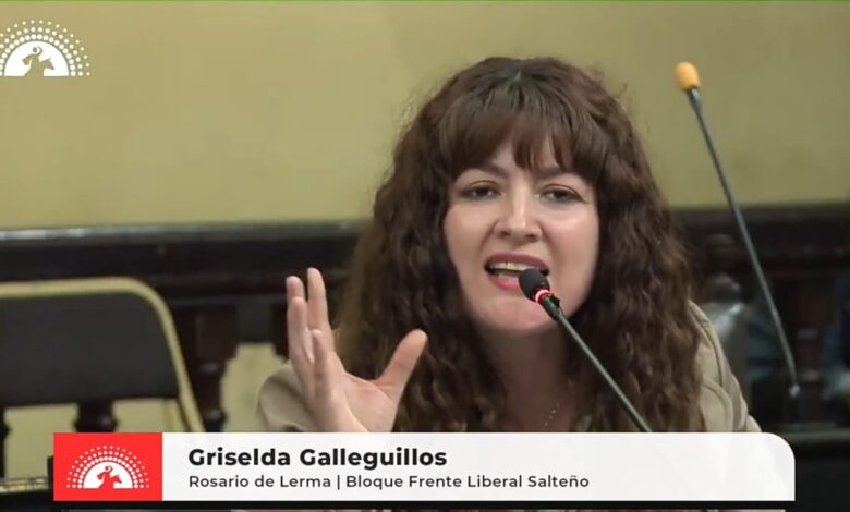 Durante la sesión de la Cámara de Diputados de ayer, la diputada por el Frente Liberal Salteño Griselda Gallegillos anunció su candidatura a senadora y lanzó fuertes críticas hacia Libertad Avanza. Foto: Cámara de Diputados de Salta