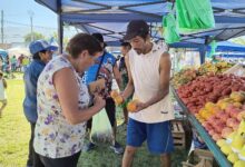 El Mercado en Tu Barrio.