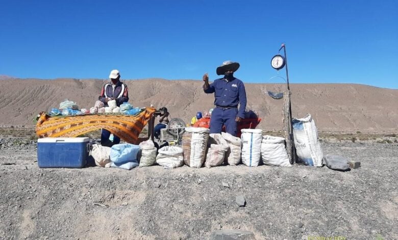 Productores de la Quebrada del Toro. Foto: Informate Salta