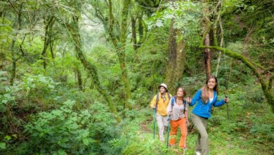 San Lorenzo, un destino altamente elegido.