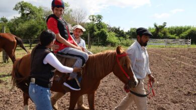 Actividades en el nuevo Centro de Equinoterapia.