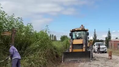 La Municipalidad realizó tareas de mantenimiento y limpieza en un terreno privado tras la acumulación de basura.