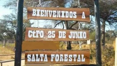 El candidato a diputado por el departamento de Anta, Jorge Esquivel, propone modificar la ley que regula el uso de los recursos generados por Salta Forestal.