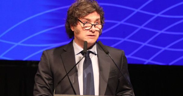 Milei vuelve al país y acelera decretos para reducir el Estado.